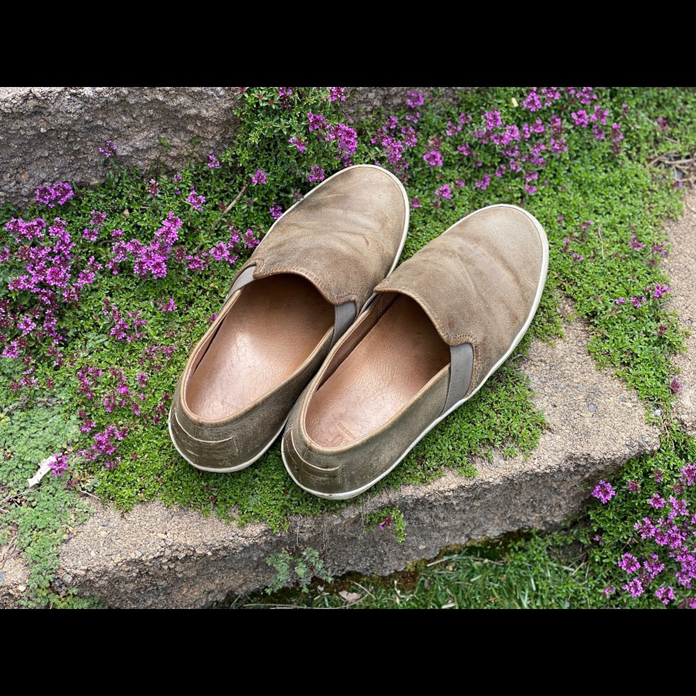 Frye shoes